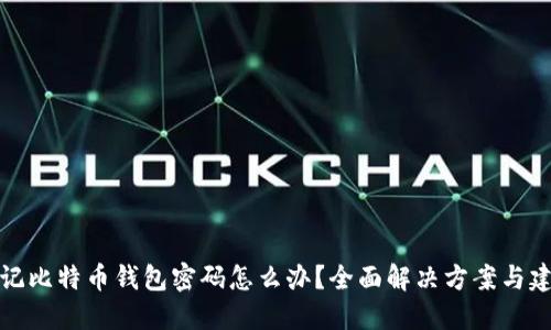 忘记比特币钱包密码怎么办?全面解决方案与建议