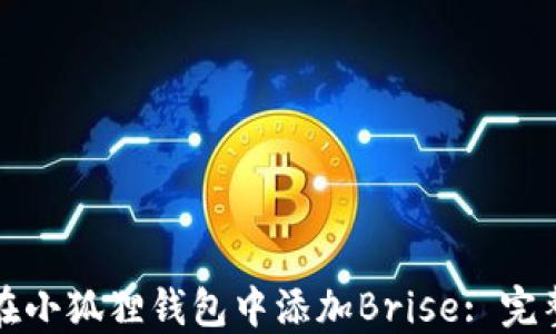 如何在小狐狸钱包中添加Brise: 完整指南
