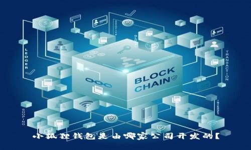 小狐狸钱包是由哪家公司开发的？