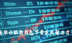 电脑小狐狸钱包下载失败