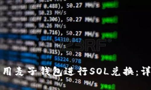 如何使用麦子钱包进行SOL兑换：详细指南