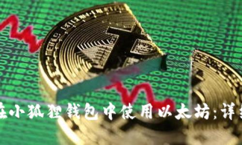 如何在小狐狸钱包中使用以太坊:详细指南