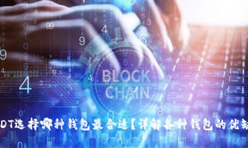 USDT选择哪种钱包最合适？详解各种钱包的优缺点