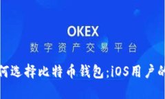 在国内如何选择比特币钱