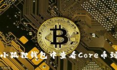 如何在小狐狸钱包中查看