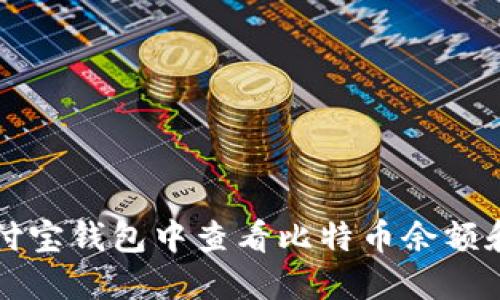 如何在支付宝钱包中查看比特币余额和交易记录