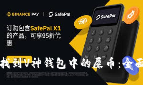 如何找到V神钱包中的屎币:全面指南