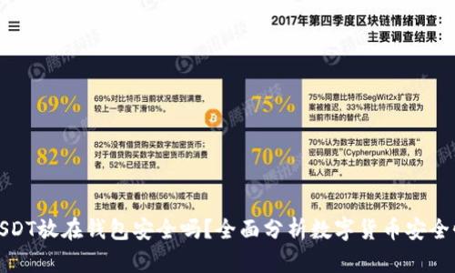 USDT放在钱包安全吗？全面分析数字货币安全性