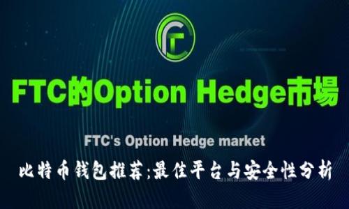 比特币钱包推荐:最佳平台与安全性分析