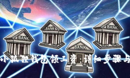 如何使用小狐狸钱包领工资：详细步骤与注意事项