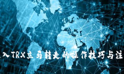 钱包进入TRX立马转走的操作技巧与注意事项