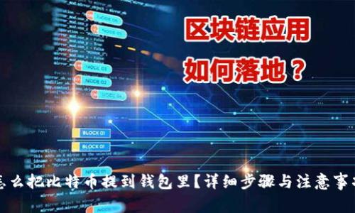 怎么把比特币提到钱包里?详细步骤与注意事项