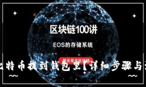 怎么把比特币提到钱包里?详细步骤与注意事项