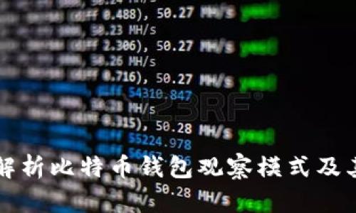 全面解析比特币钱包观察模式及其应用