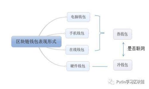 如何选择比特币钱包:新手必读指南