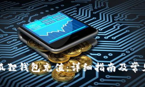 如何给小狐狸钱包充值:详细指南及常见问题解答