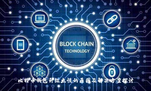 比特币钱包升级太慢的原因及解决方案探讨