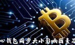 比特币核心钱包同步大小