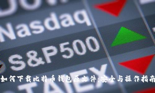如何下载比特币钱包原文件:安全与操作指南