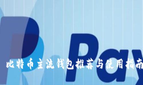 比特币主流钱包推荐与使用指南
