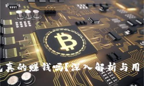 小狐狸钱包真的赚钱吗？深入解析与用户体验分享