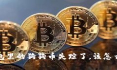  钱包里的狗狗币失踪了，