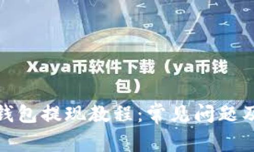 : 小狐狸钱包提现教程:常见问题及解决方案