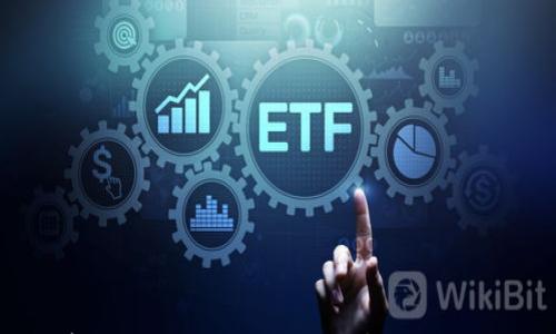 储存比特币的钱包:全面解析与选择指南