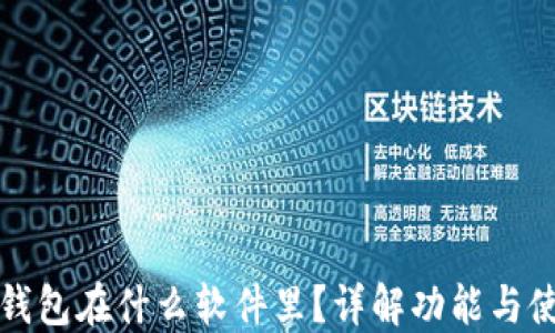 
小狐狸钱包在什么软件里？详解功能与使用场景