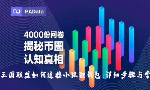 Title: 王国联盟如何连接小狐狸钱包:详细步骤与常见问题