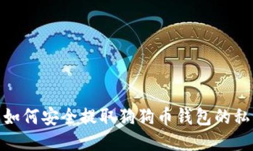 : 如何安全提取狗狗币钱包的私钥