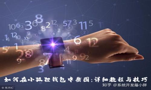 如何在小狐狸钱包中截图：详细教程与技巧