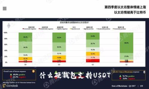 什么硬钱包支持USDT