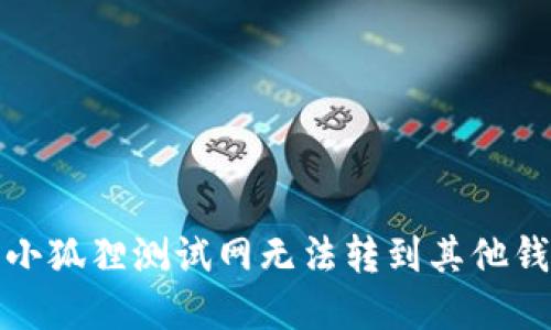如何解决小狐狸测试网无法转到其他钱包的问题