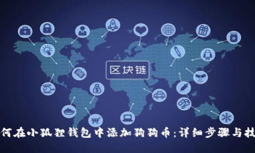 如何在小狐狸钱包中添加狗狗币:详细步骤与技巧