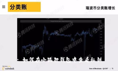 : 如何在小狐狸钱包中查看私钥
