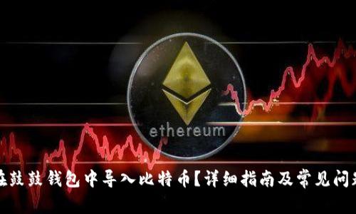 如何在鼓鼓钱包中导入比特币?详细指南及常见问题解答