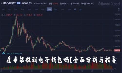 屎币能提到电子钱包吗？全面分析与指导