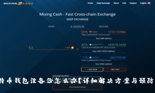  比特币钱包没备份怎么办？详细解决方案与预防措施