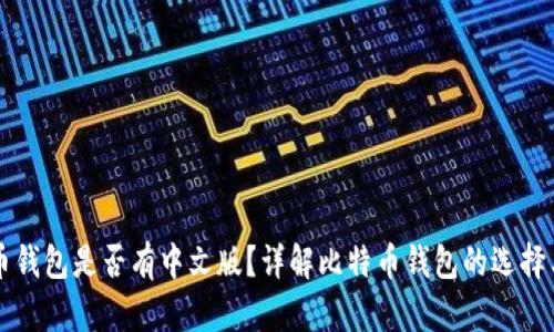 比特币钱包是否有中文版？详解比特币钱包的选择与使用