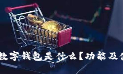 : USDT数字钱包是什么？功能及使用指南