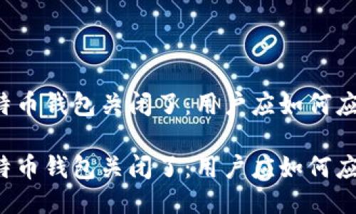 比特币钱包关闭了:用户应如何应对?
比特币钱包关闭了:用户应如何应对?