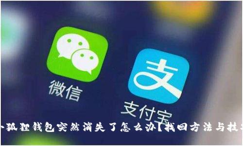 小狐狸钱包突然消失了怎么办?找回方法与技巧