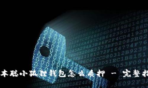 中本聪小狐狸钱包怎么质押 - 完整指南