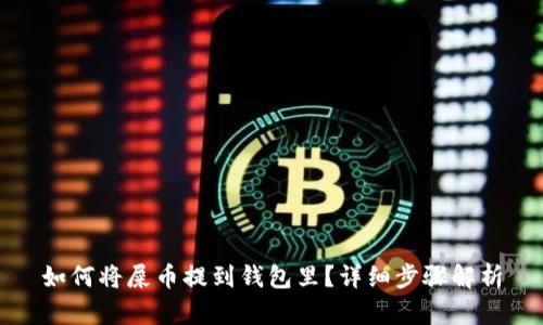 如何将屎币提到钱包里?详细步骤解析