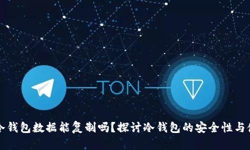 比特币冷钱包数据能复制吗?探讨冷钱包的安全性与使用方法