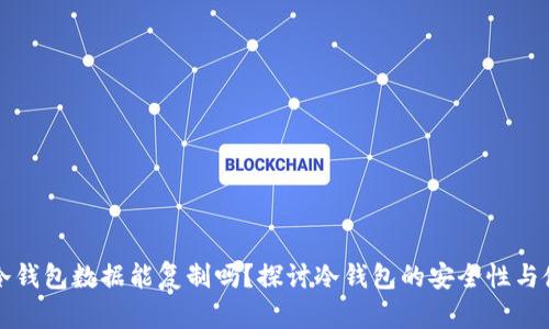 比特币冷钱包数据能复制吗?探讨冷钱包的安全性与使用方法