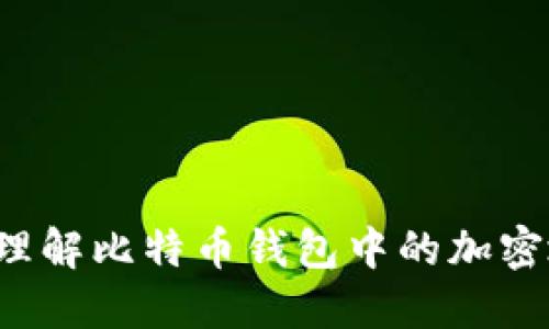 怎样理解比特币钱包中的加密地址?
