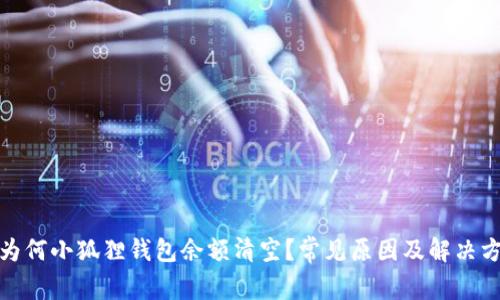 : 为何小狐狸钱包余额清空？常见原因及解决方法