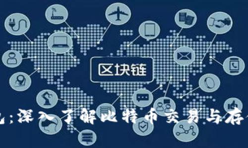 比特币钱包数据包:深入了解比特币交易与存储的安全性与技术